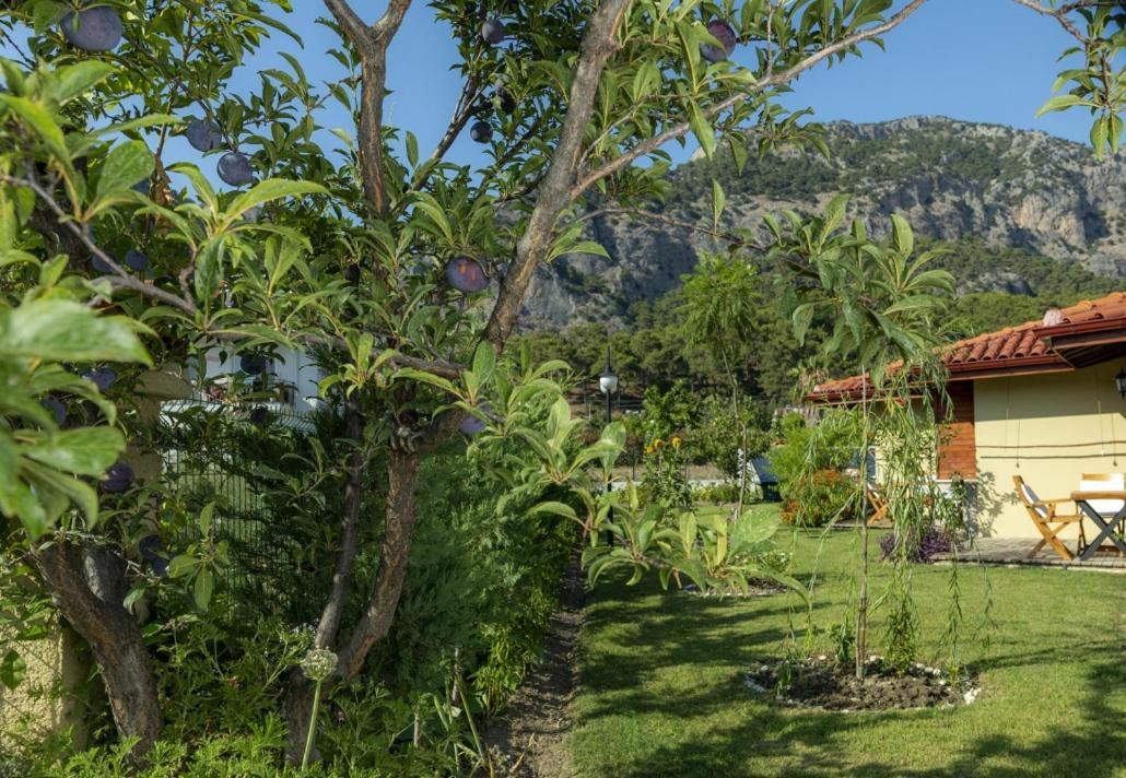 Sandal Hotel Gocek ภายนอก รูปภาพ